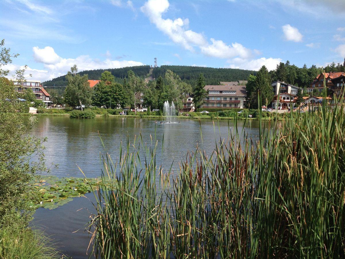 Bocksbergblick Fewo Auszeit Goslar Buitenkant foto